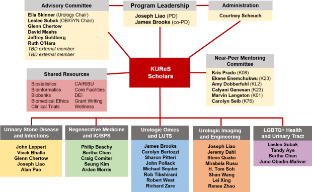 KURes organizational structure